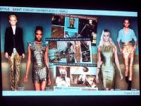 FGI 2012/13 Trend Edit with Stylesight